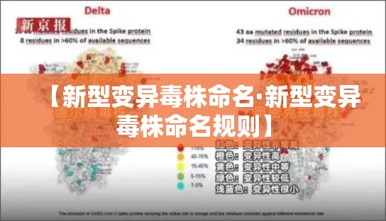 【新型变异毒株命名·新型变异毒株命名规则】 【新型变异毒株命名·新型变异毒株命名规则】