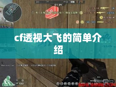 cf透视大飞的简单介绍 cf透视大飞的简单介绍