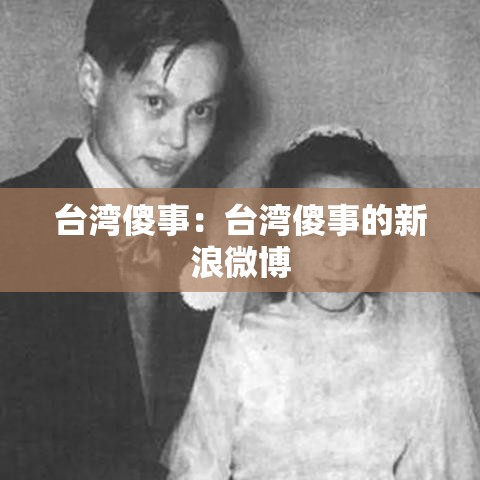台湾傻事:台湾傻事的新浪微博 台湾傻事:台湾傻事的新浪微博