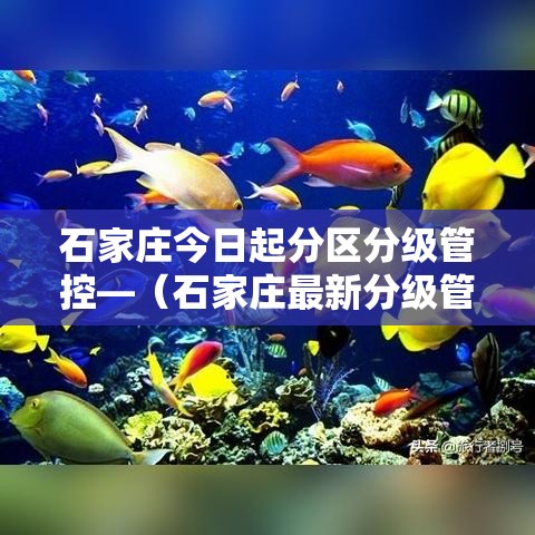 石家庄今日起分区分级管控—(石家庄最新分级管控) 石家庄今日起分区分级管控—(石家庄最新分级管控)