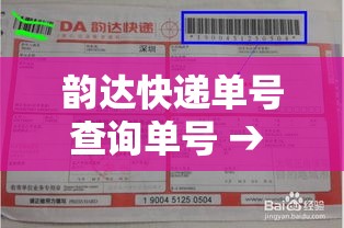 韵达快递单号查询单号 → 韵达快递单号 查快递