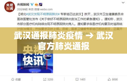 武汉通报肺炎疫情 → 武汉官方肺炎通报 武汉通报肺炎疫情 → 武汉官方肺炎通报