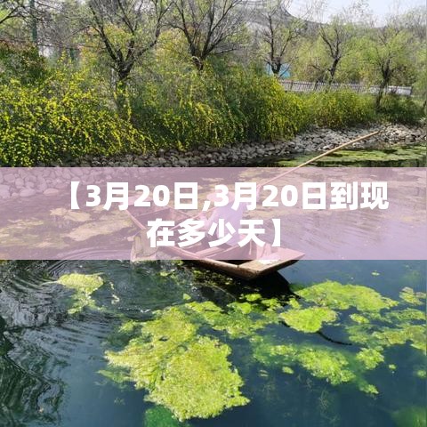 【3月20日,3月20日到现在多少天】 【3月20日,3月20日到现在多少天】