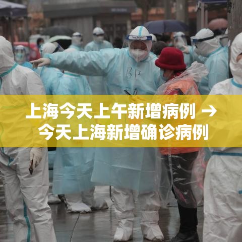 上海今天上午新增病例 → 今天上海新增确诊病例 上海今天上午新增病例 → 今天上海新增确诊病例