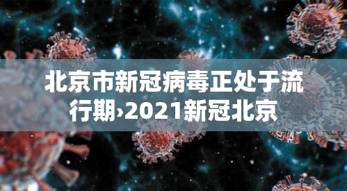 北京市新冠病毒正处于流行期›2021新冠北京 北京市新冠病毒正处于流行期›2021新冠北京