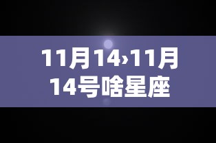 11月14›11月14号啥星座 11月14›11月14号啥星座
