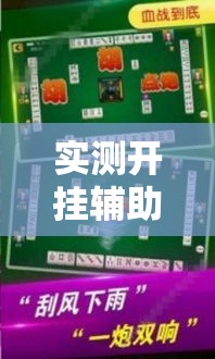 实测开挂辅助“哥哥杭州麻将怎么开挂”透视开挂辅助教程