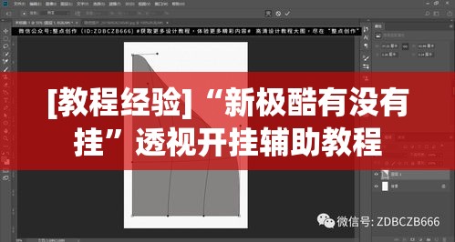 [教程经验]“新极酷有没有挂	”透视开挂辅助教程