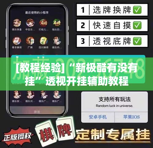 [教程经验]“新极酷有没有挂”透视开挂辅助教程