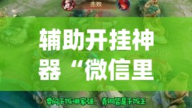 辅助开挂神器“微信里微乐麻将有诀窍	”(透视挂)辅助透视教程