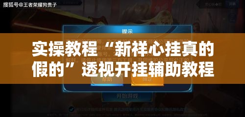 实操教程“新祥心挂真的假的	”透视开挂辅助教程