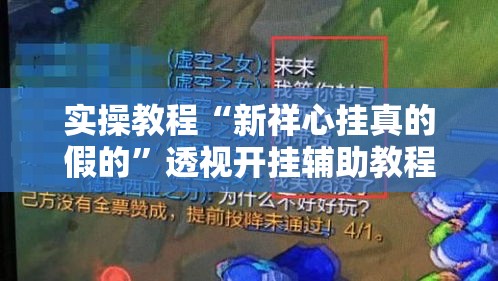 实操教程“新祥心挂真的假的”透视开挂辅助教程