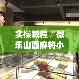 实操教程“微乐山西麻将小程序挂	”(透视挂)辅助透视教程