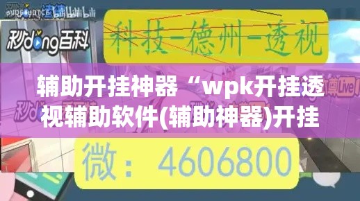 辅助开挂神器“wpk开挂透视辅助软件(辅助神器)开挂详细教程