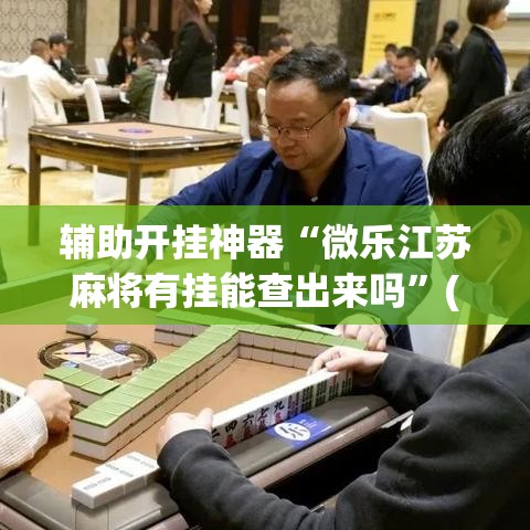 辅助开挂神器“微乐江苏麻将有挂能查出来吗	”(透视挂)辅助透视教程