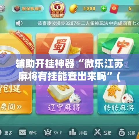辅助开挂神器“微乐江苏麻将有挂能查出来吗”(透视挂)辅助透视教程