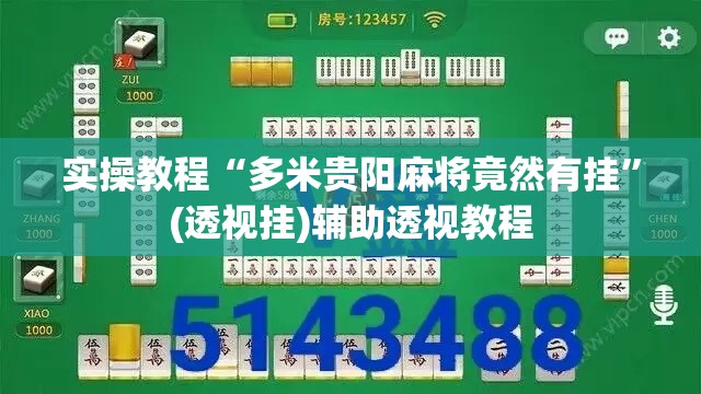 实操教程“多米贵阳麻将竟然有挂	”(透视挂)辅助透视教程