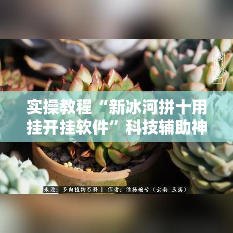 实操教程“新冰河拼十用挂开挂软件”科技辅助神器手机版教程