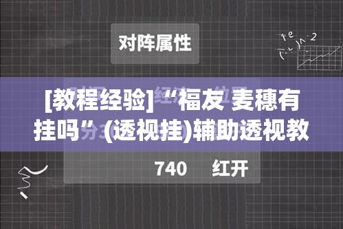 [教程经验]“福友 麦穗有挂吗”(透视挂)辅助透视教程