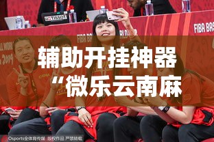辅助开挂神器“微乐云南麻将免费开挂手机版”透视开挂辅助教程