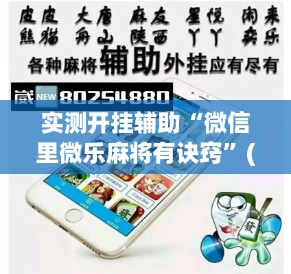 实测开挂辅助“微信里微乐麻将有诀窍”(透视挂)辅助透视教程