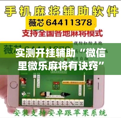 实测开挂辅助“微信里微乐麻将有诀窍”(透视挂)辅助透视教程