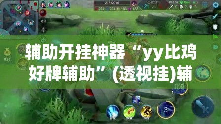 辅助开挂神器“yy比鸡好牌辅助	”(透视挂)辅助透视教程