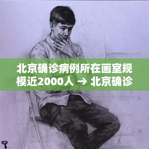 北京确诊病例所在画室规模近2000人 → 北京确诊比例 北京确诊病例所在画室规模近2000人 → 北京确诊比例