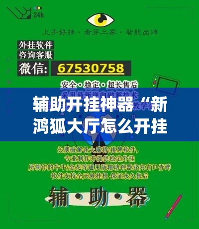辅助开挂神器“新鸿狐大厅怎么开挂”(透视挂)辅助透视教程