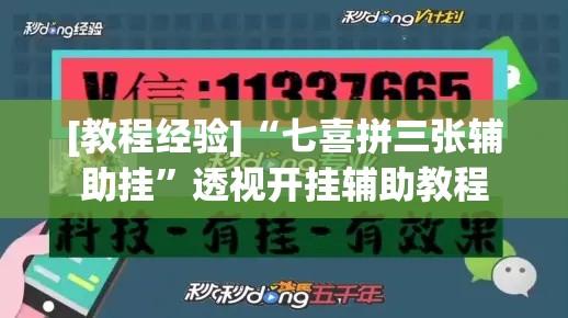 [教程经验]“七喜拼三张辅助挂	”透视开挂辅助教程