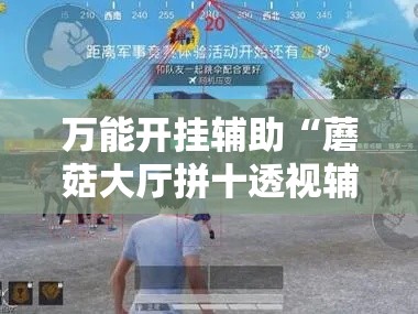 万能开挂辅助“蘑菇大厅拼十透视辅助软件”透视开挂辅助教程