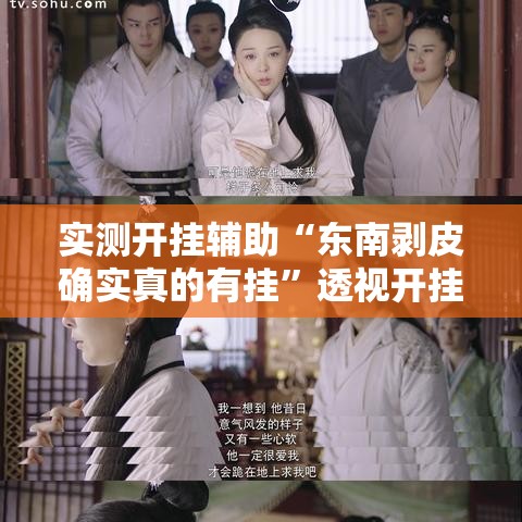实测开挂辅助“东南剥皮确实真的有挂”透视开挂辅助教程