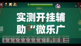 实测开挂辅助“微乐广西麻将万能开挂器通用版	”透视开挂辅助教程