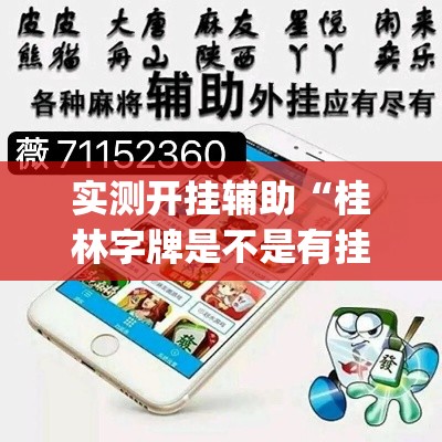 实测开挂辅助“桂林字牌是不是有挂	”(透视挂)辅助透视教程