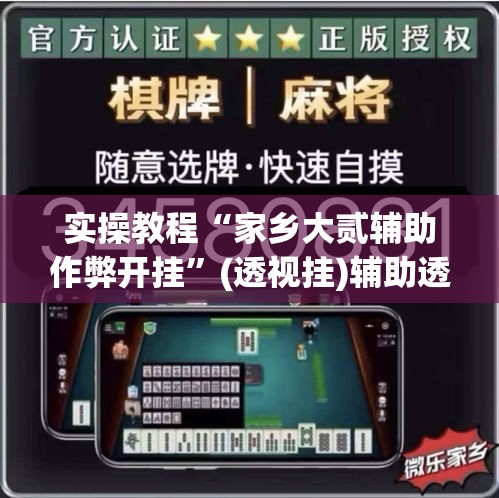 实操教程“家乡大贰辅助作弊开挂”(透视挂)辅助透视教程