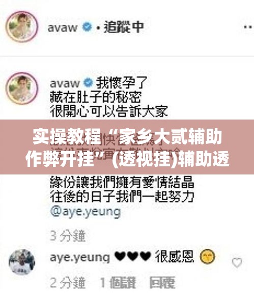 实操教程“家乡大贰辅助作弊开挂”(透视挂)辅助透视教程