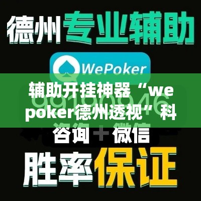 辅助开挂神器“wepoker德州透视”科技辅助神器手机版教程