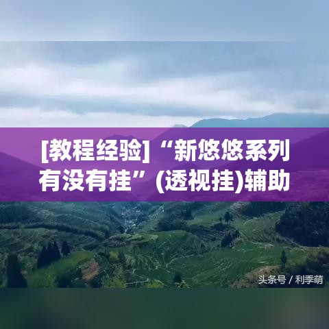 [教程经验]“新悠悠系列有没有挂”(透视挂)辅助透视教程