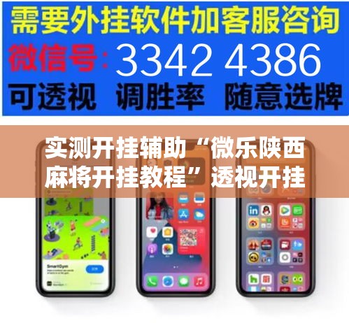 实测开挂辅助“微乐陕西麻将开挂教程”透视开挂辅助教程