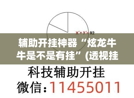 辅助开挂神器“炫龙牛牛是不是有挂	”(透视挂)辅助透视教程
