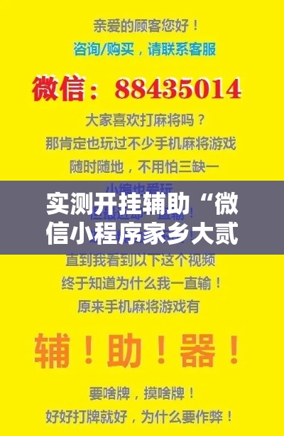 实测开挂辅助“微信小程序家乡大贰辅助器	”科技辅助神器手机版教程