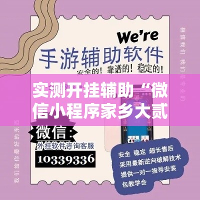 实测开挂辅助“微信小程序家乡大贰辅助器”科技辅助神器手机版教程