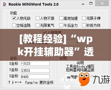 [教程经验]“wpk开挂辅助器”透视开挂辅助教程