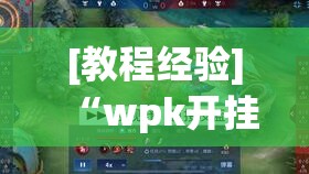 [教程经验]“wpk开挂辅助器	”透视开挂辅助教程