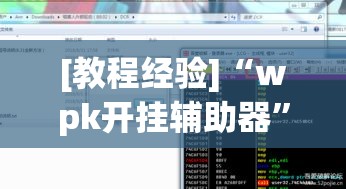 [教程经验]“wpk开挂辅助器”透视开挂辅助教程