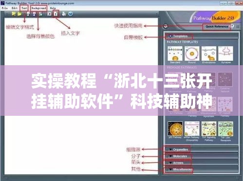 实操教程“浙北十三张开挂辅助软件”科技辅助神器手机版教程