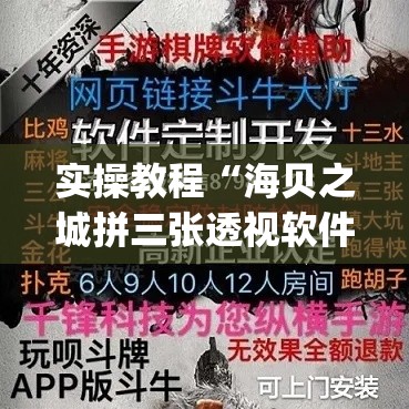 实操教程“海贝之城拼三张透视软件(辅助神器)开挂详细教程 实操教程“海贝之城拼三张透视软件(辅助神器)开挂详细教程