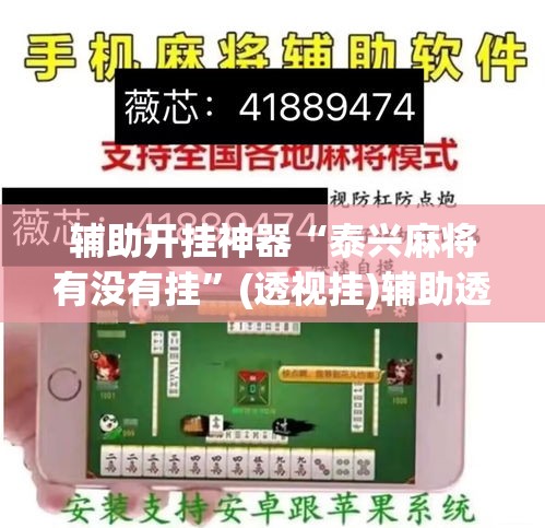 辅助开挂神器“泰兴麻将有没有挂	”(透视挂)辅助透视教程