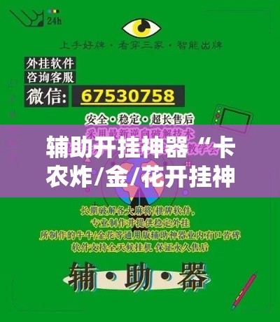辅助开挂神器“卡农炸/金/花开挂神器”透视开挂辅助教程