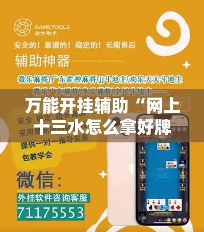 万能开挂辅助“网上十三水怎么拿好牌”科技辅助神器手机版教程